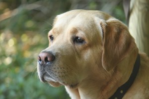 img_6751