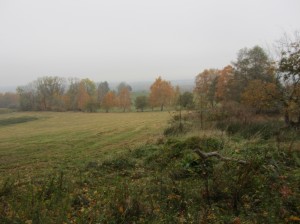 img_6459